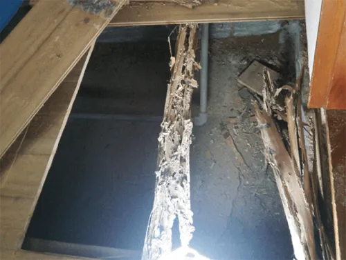 床下診断イメージ