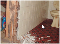 被害を受けたトイレ横の柱